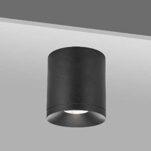 Image of outdoor surface mounted ceiling light